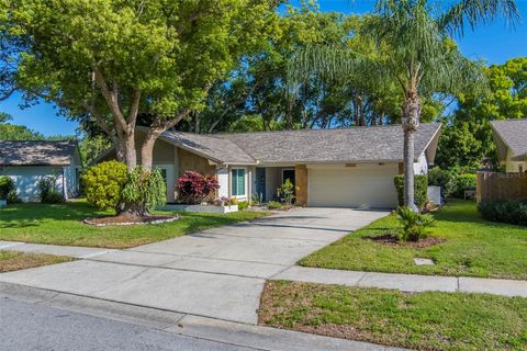2952 MACALPIN DRIVE N PALM HARBOR FL 34684
