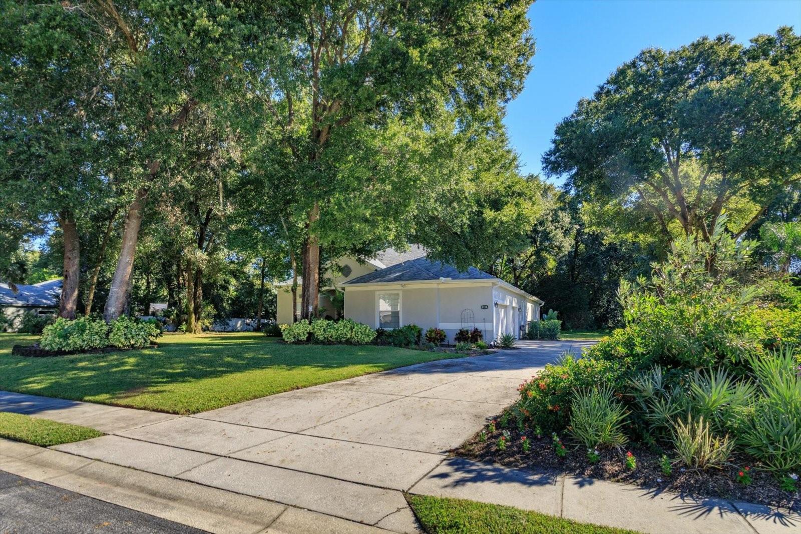 8158 EMERALD FOREST COURT