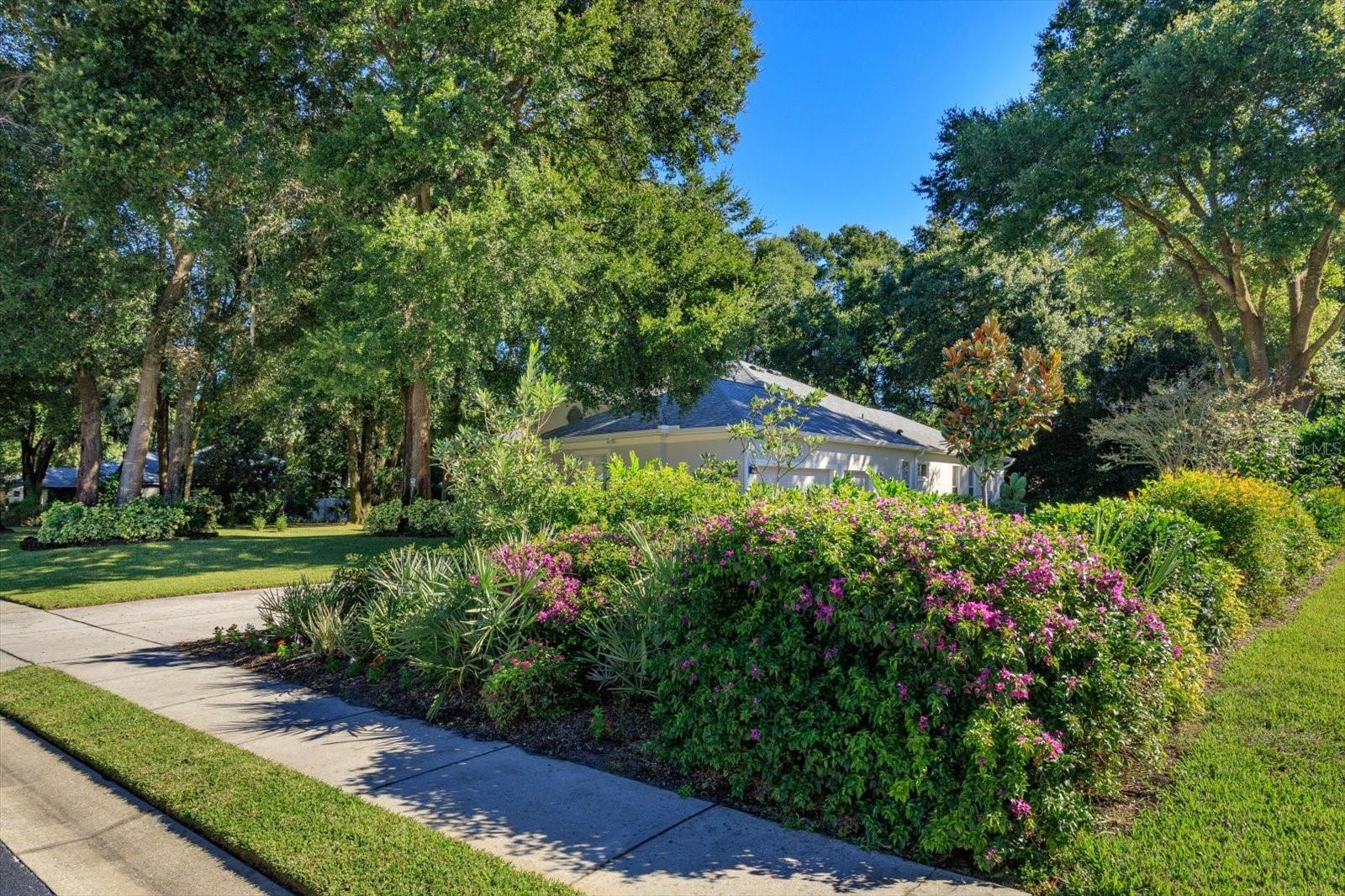 MARKHAM FOREST - Residential