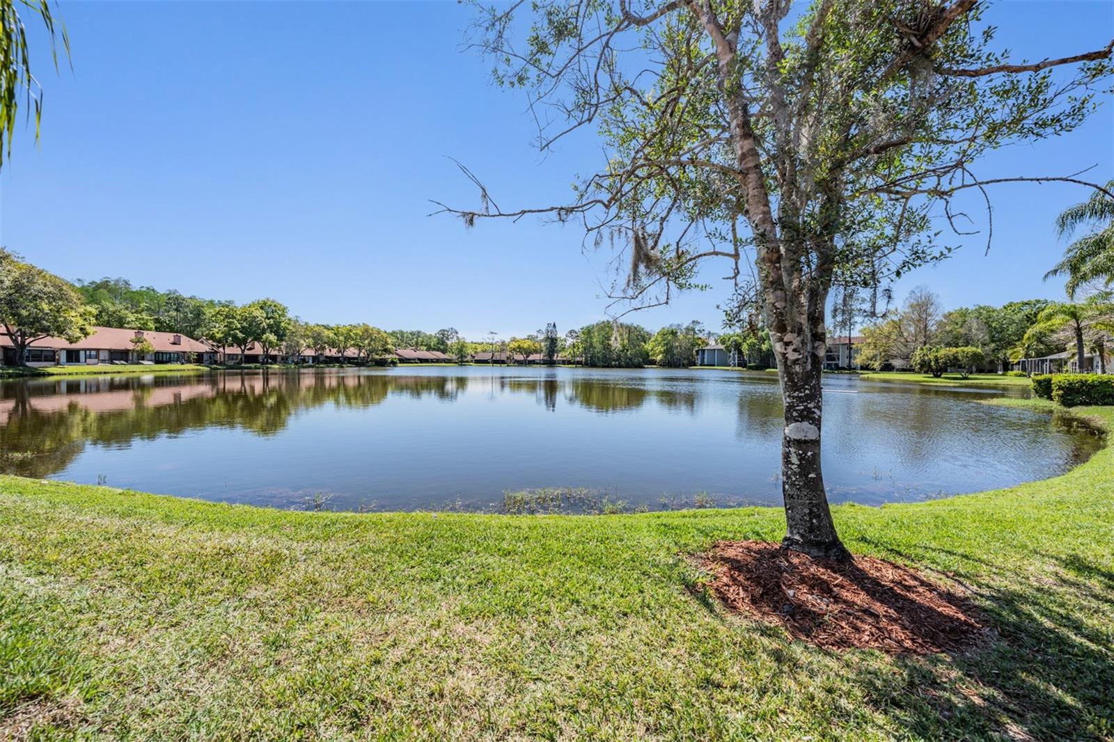 BROOKHAVEN - Residential