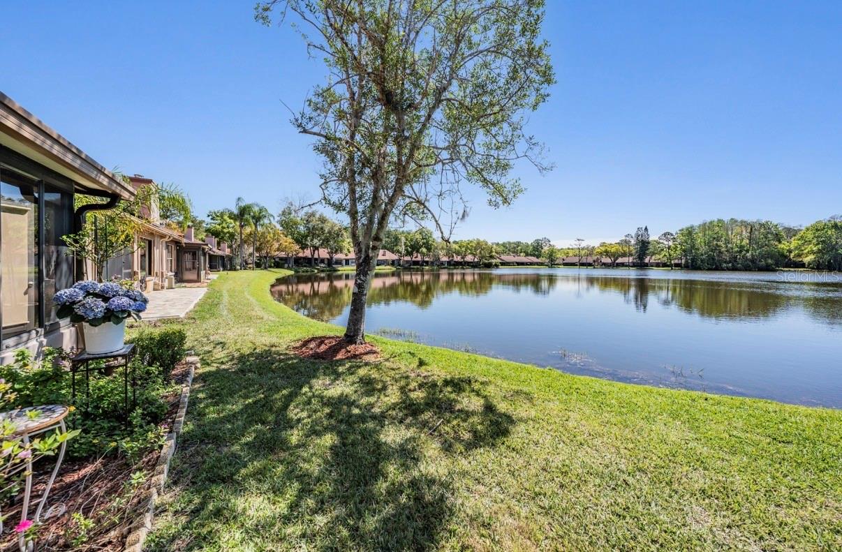 BROOKHAVEN - Residential