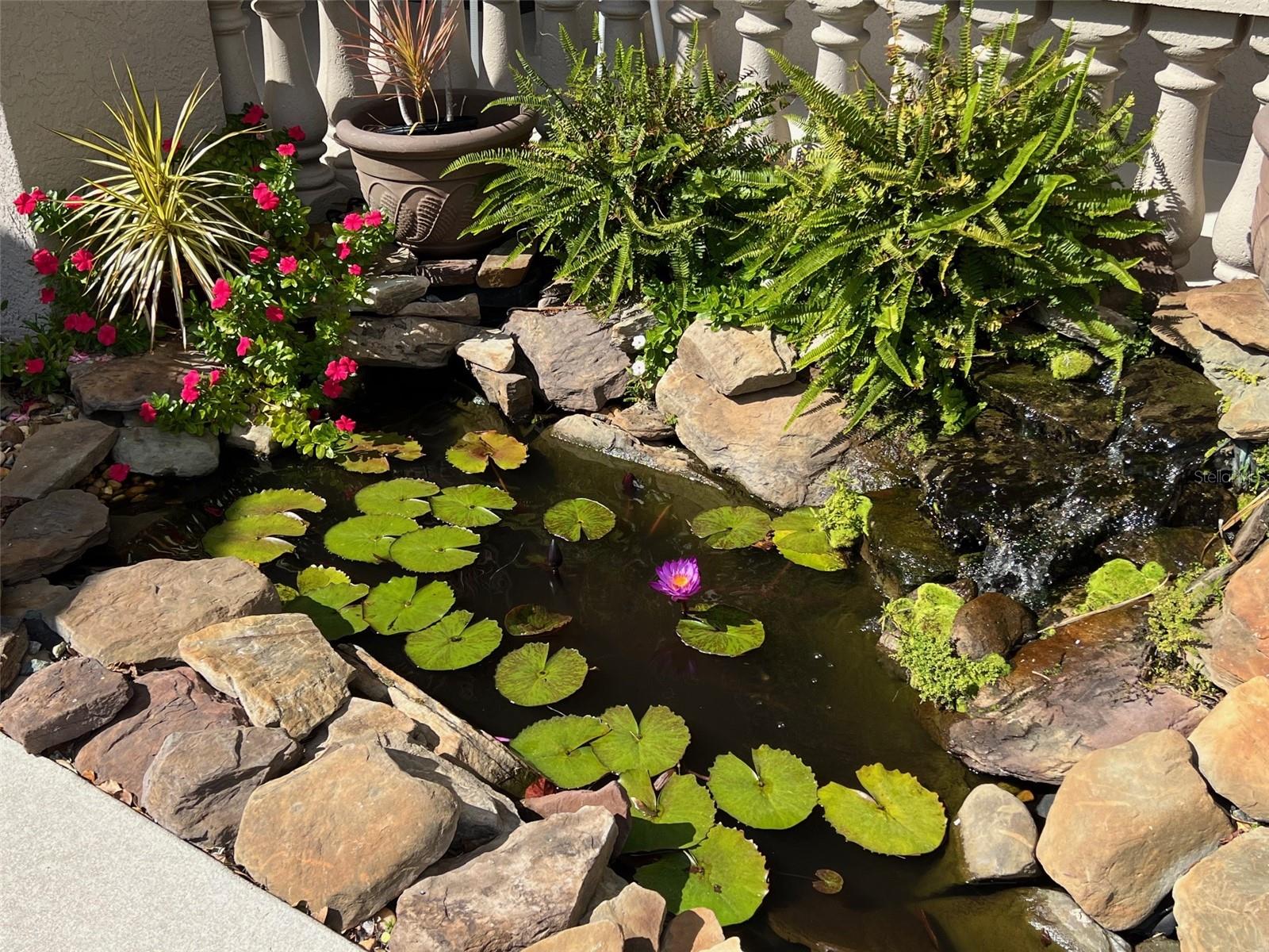 895 CLEAR LAKE DRIVE