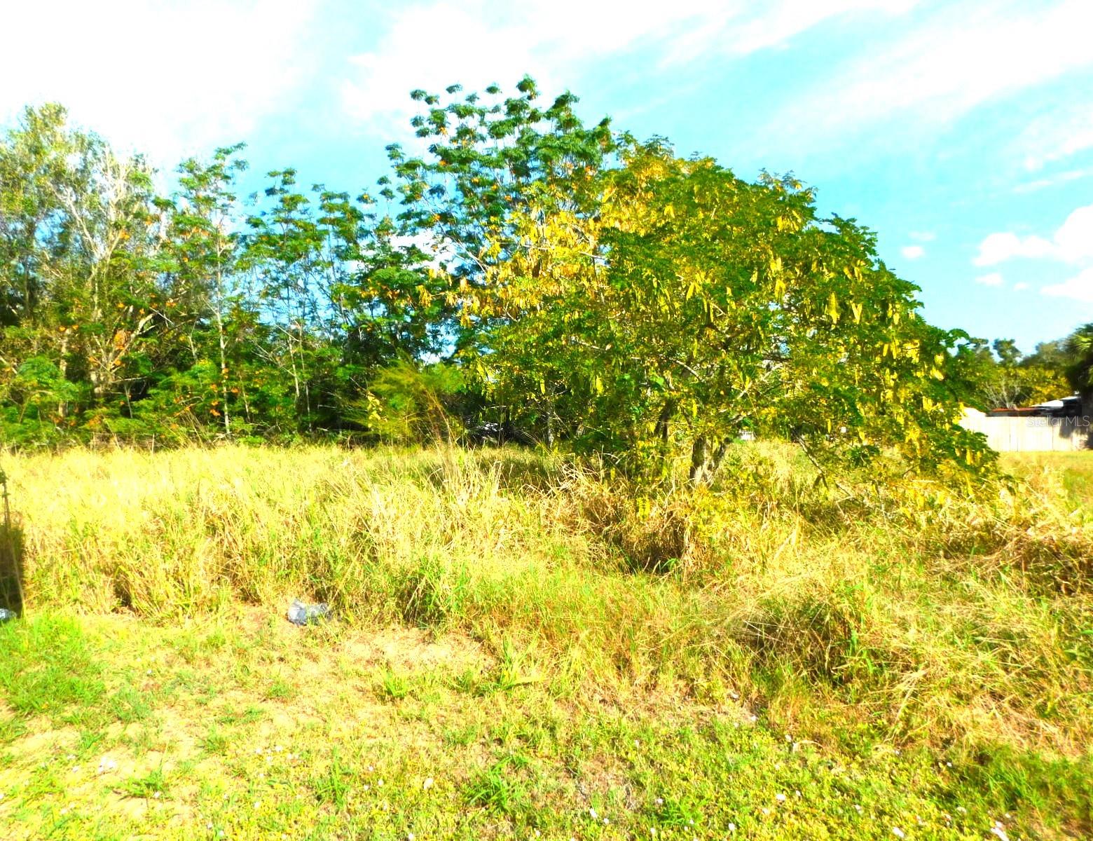 TWIN LAKE PARK - Land