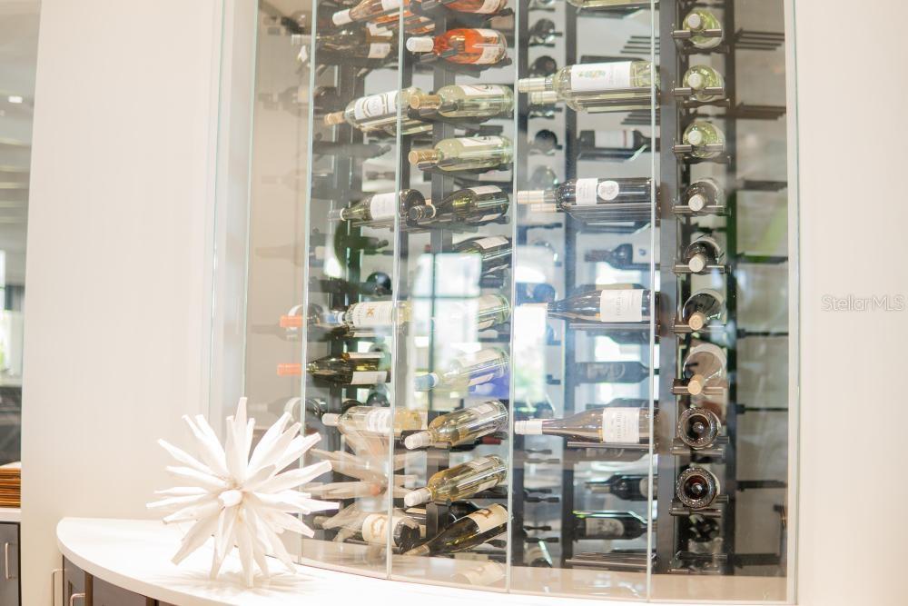 COACH HOMES II AT LAKEWOOD NATIONAL PH 1 - Residential