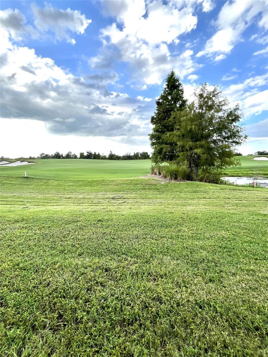 COACH HOMES II AT LAKEWOOD NATIONAL PH 1 - Residential