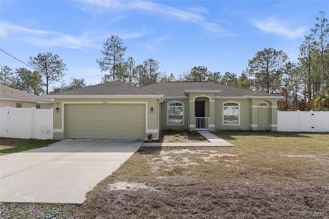 Photo of 13124 Snowy Plover Avenue, Weeki Wachee, FL 34614 (MLS # TB8465862)