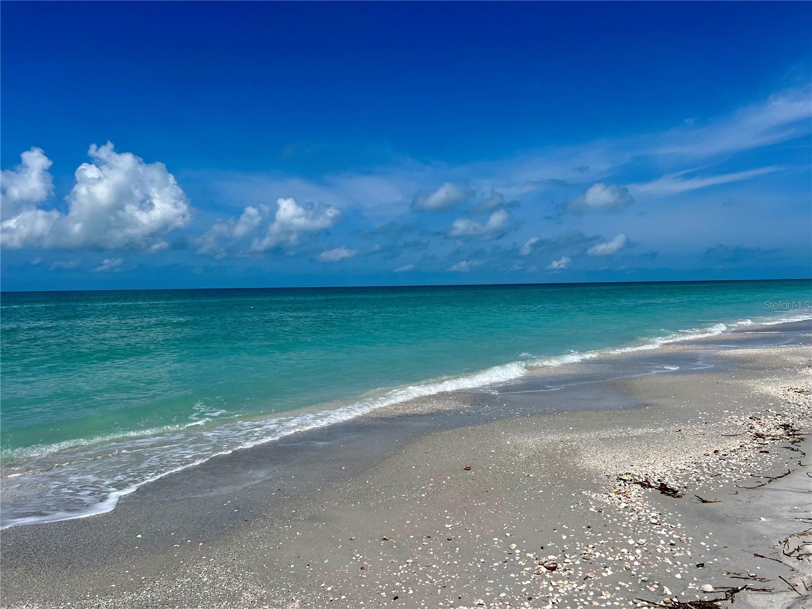 SEABOARD BEG NE COR - Land