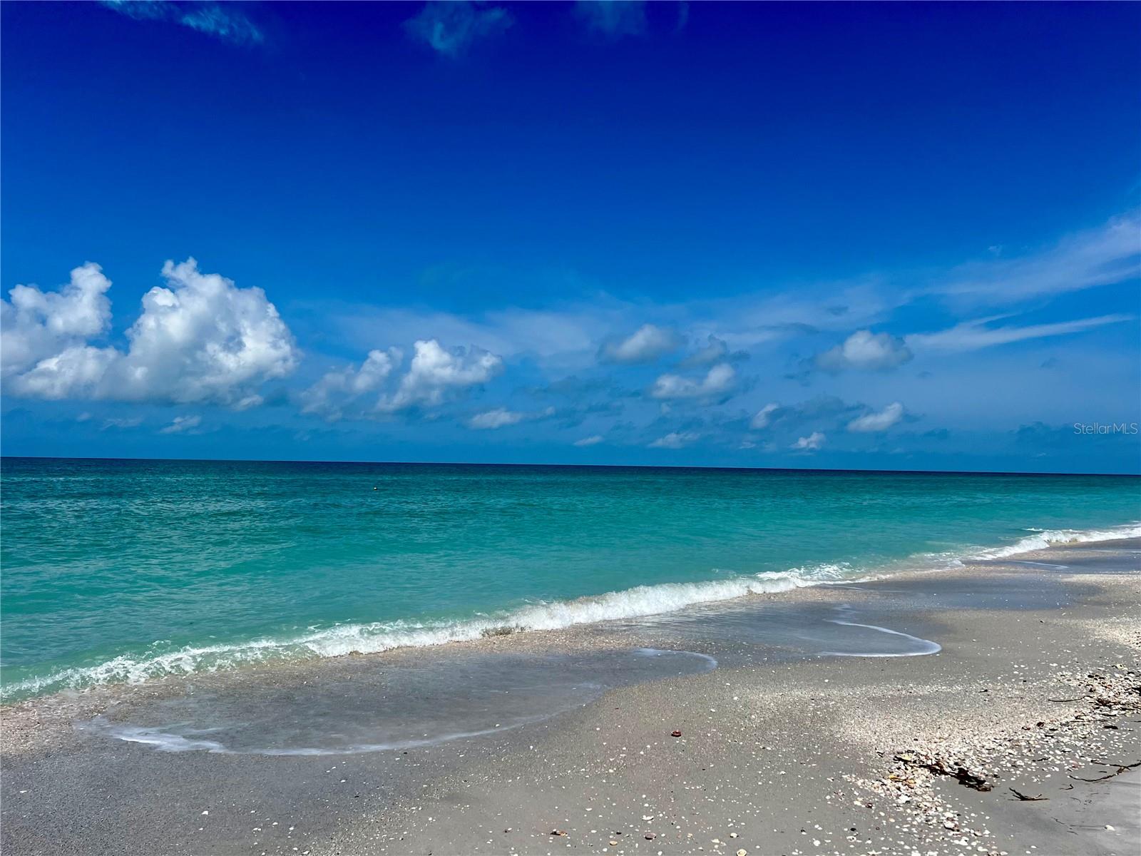 SEABOARD BEG NE COR - Land