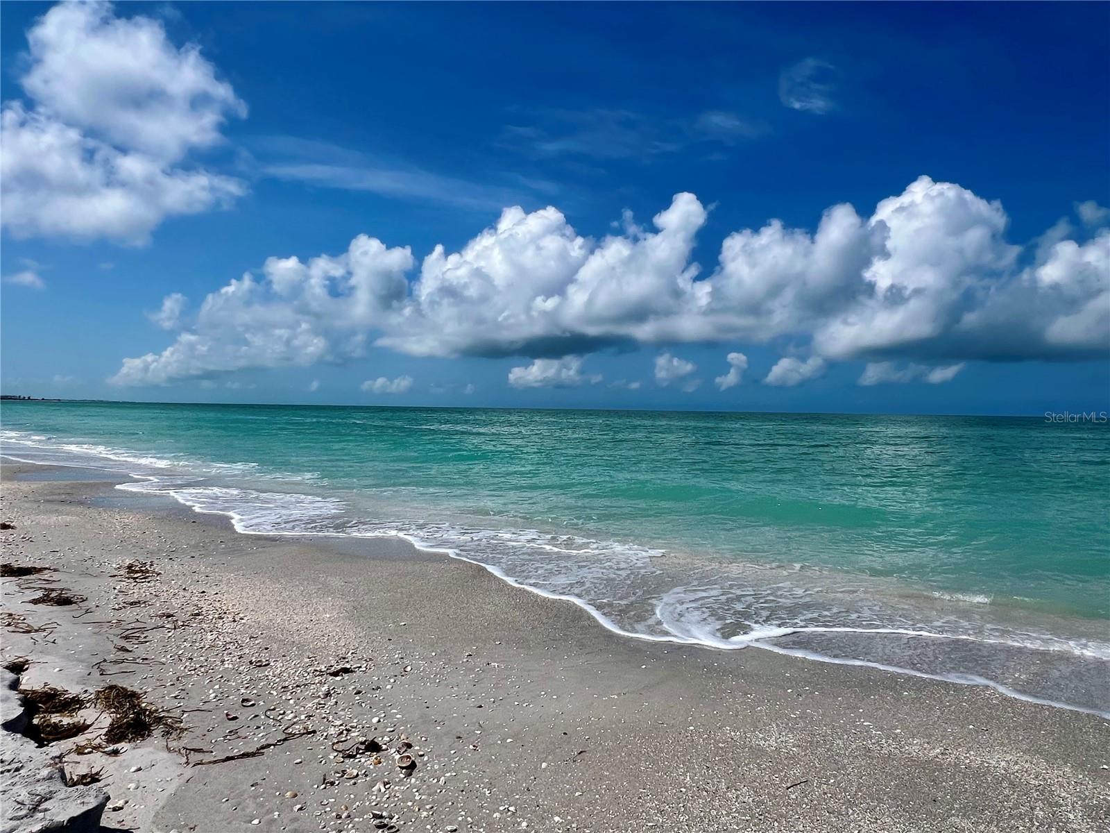 SEABOARD BEG NE COR - Land