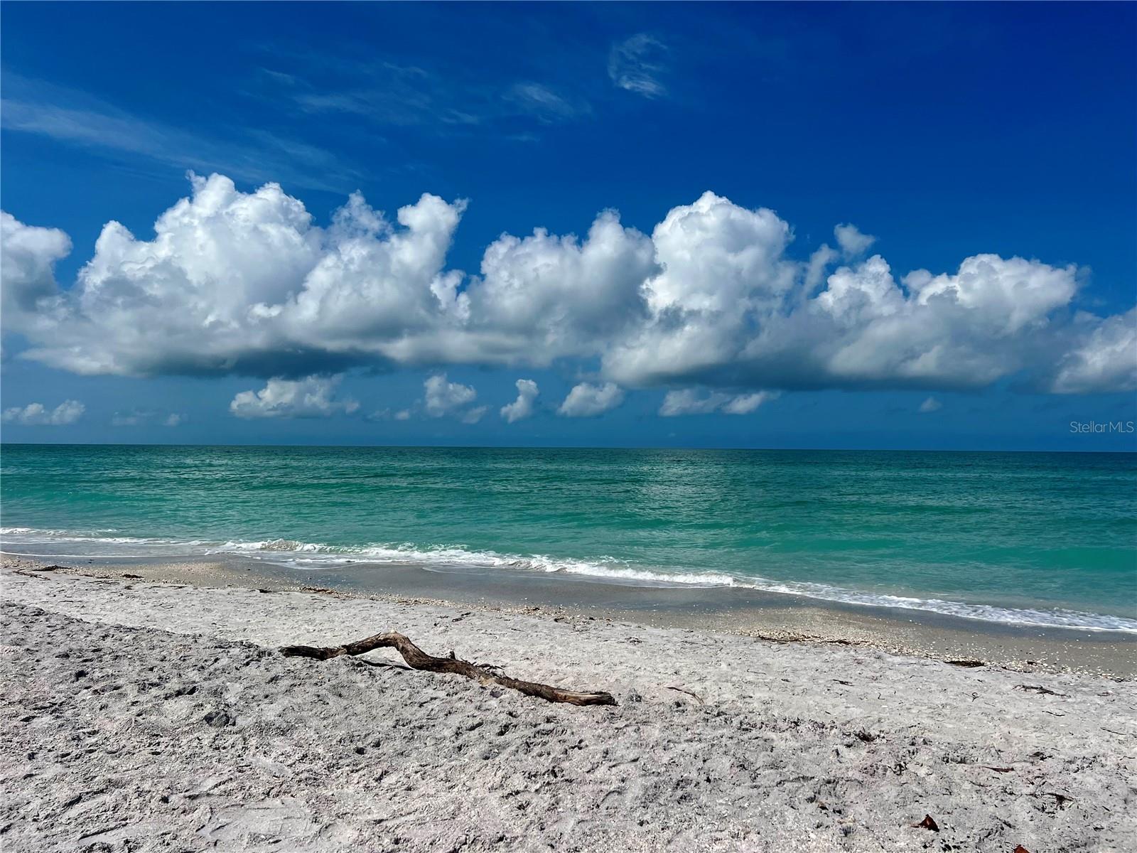 SEABOARD BEG NE COR - Land