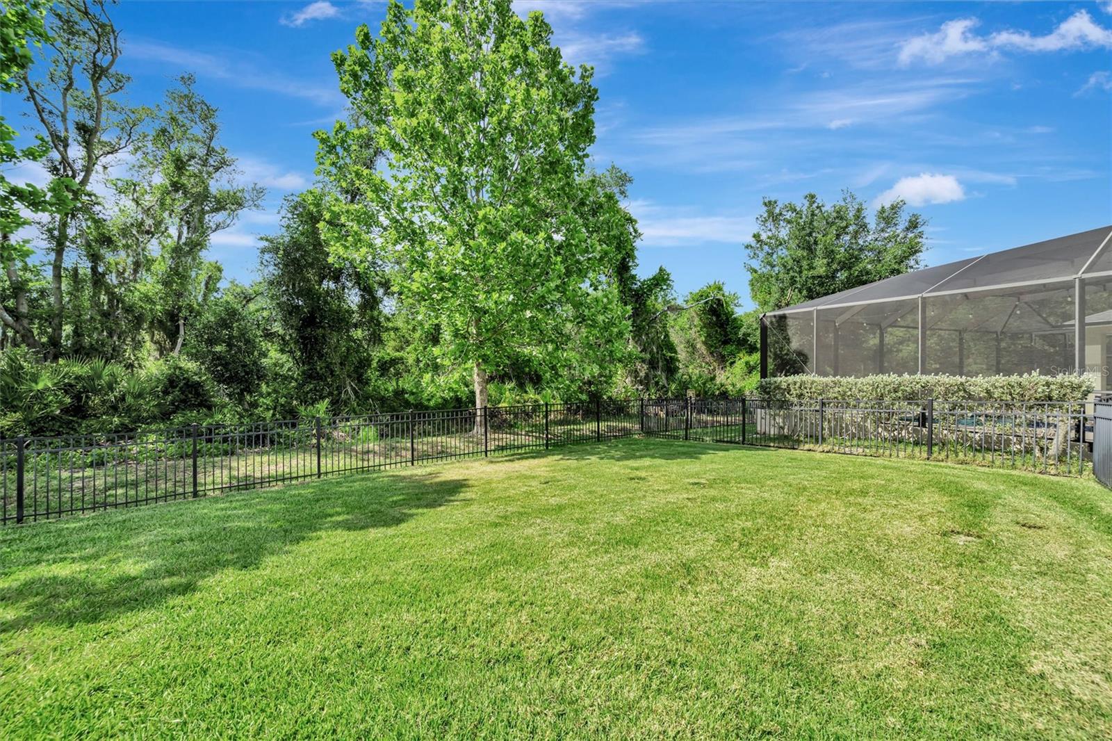 OAKLEAF HAMMOCK PH IV - Residential