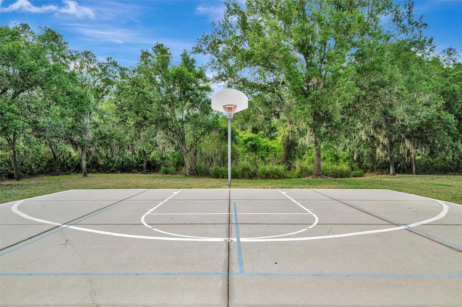 OAKLEAF HAMMOCK PH IV - Residential
