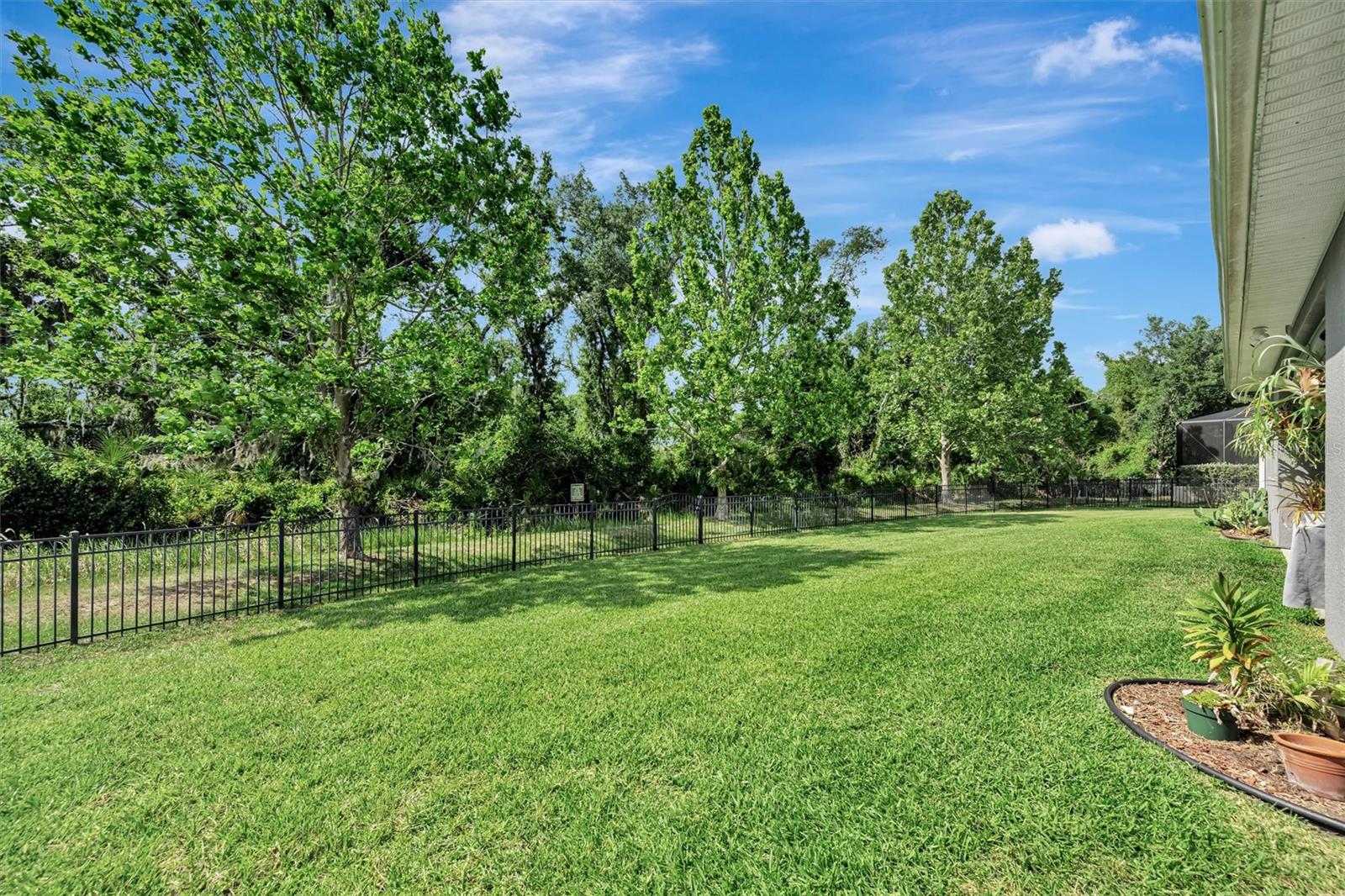 OAKLEAF HAMMOCK PH IV - Residential