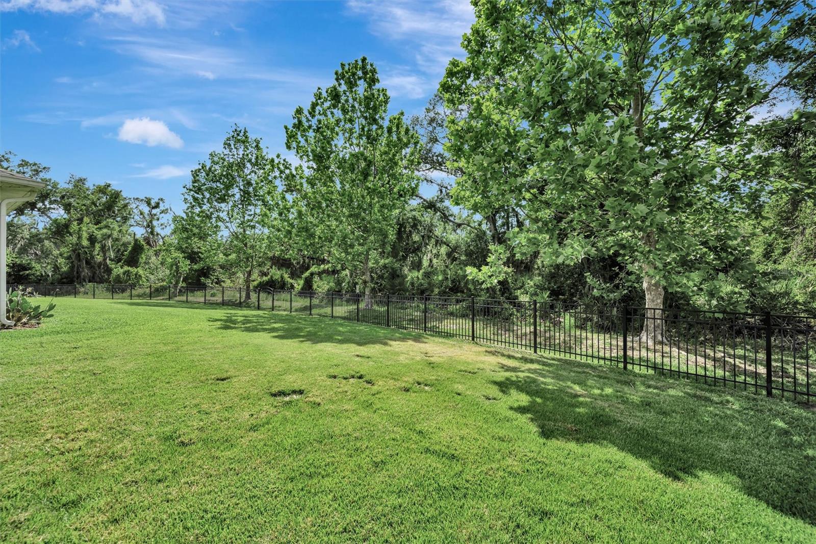 OAKLEAF HAMMOCK PH IV - Residential