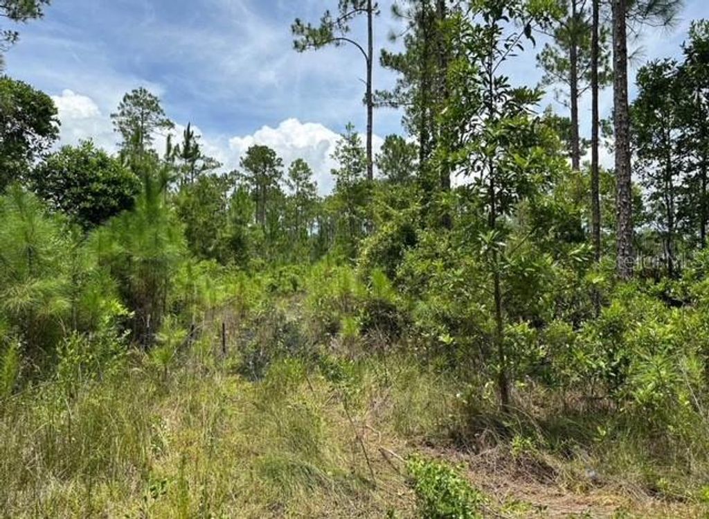 Photo of 116 SW 1st Avenue, Palatka, FL 32177 (MLS # G5104428)