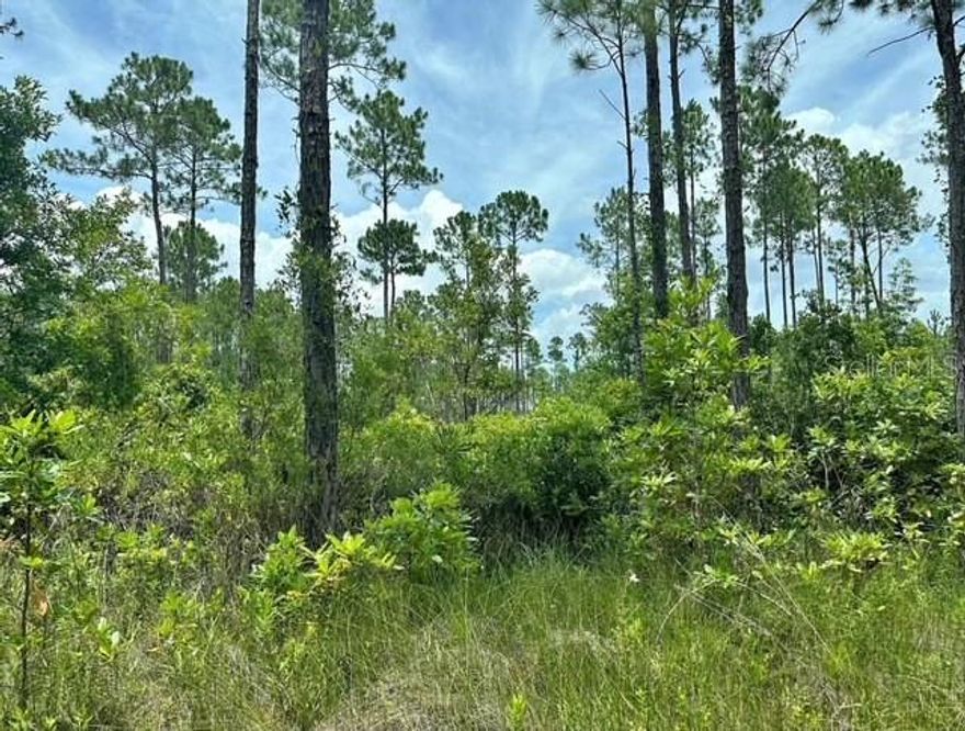 Beautiful 1.25-acre high and dry parcel in Palatka, Florida, offering the perfect opportunity to build your dream home or place a manufactured home. This level, well-drained lot sits in a peaceful rural setting yet remains close to shopping, dining, and schools.
Enjoy privacy, open space, and the freedom of country living with convenient access to major highways and downtown Palatka. The property is zoned for residential use and provides ample room for gardens, a workshop, or a small hobby farm. No HOA or deed restrictions—bring your vision and make it your own!