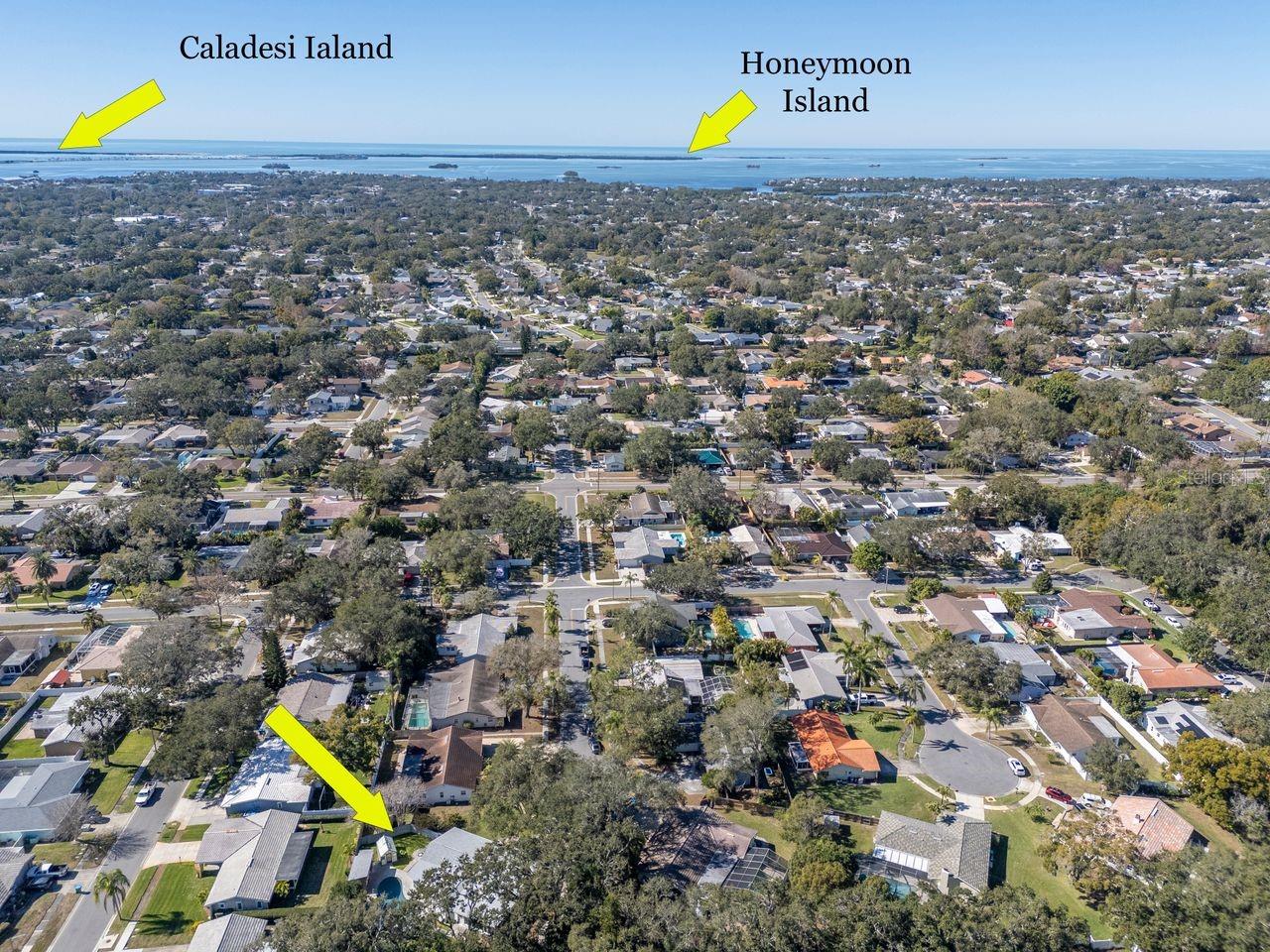 PATTY ANN ACRES - Residential