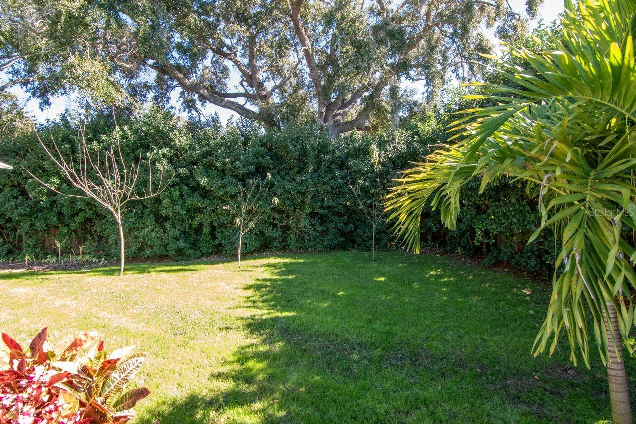 PATTY ANN ACRES - Residential