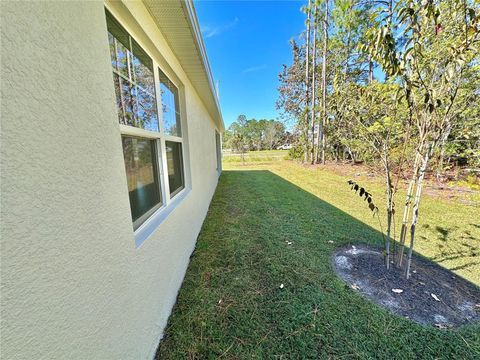 A home in PALM COAST