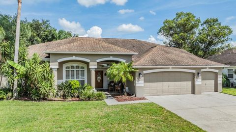 A home in VALRICO