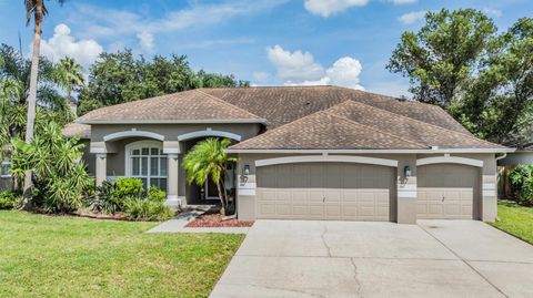 A home in VALRICO