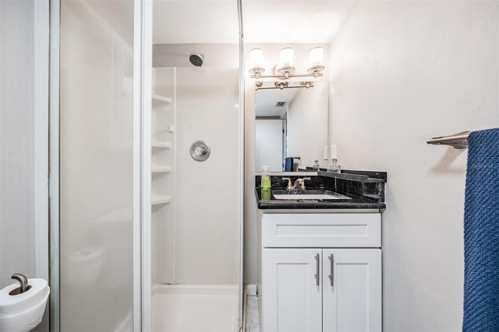 VILLAGE LAKE CONDO - Residential