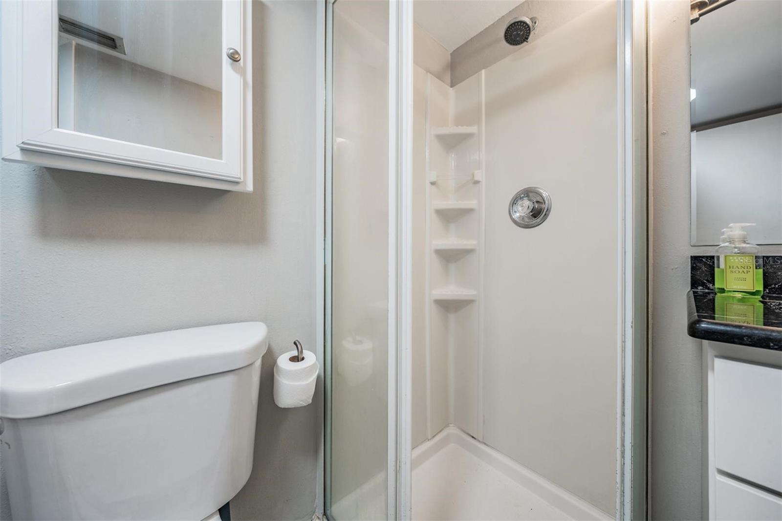 VILLAGE LAKE CONDO - Residential
