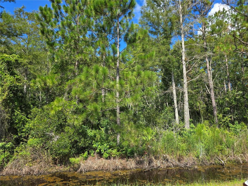 Photo of Crabgrass Road, Saint Cloud, FL 34773 (MLS # O6367736)