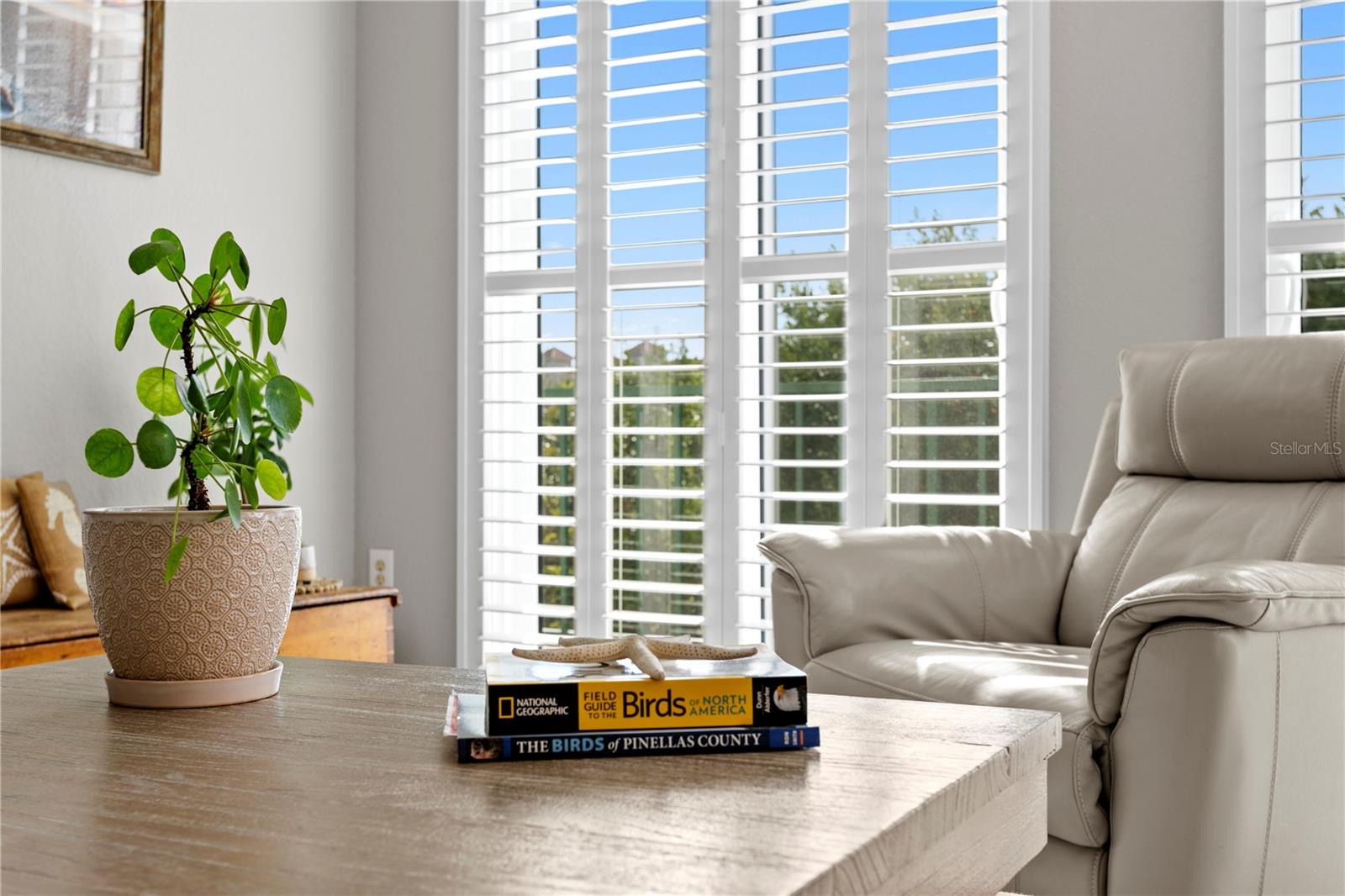 DOLPHIN CAY DOMINICA - Residential