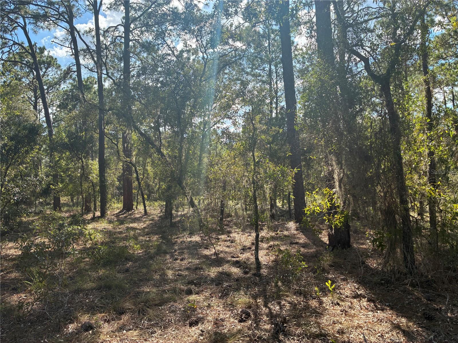 RAINBOW LAKES ESTATE - Land