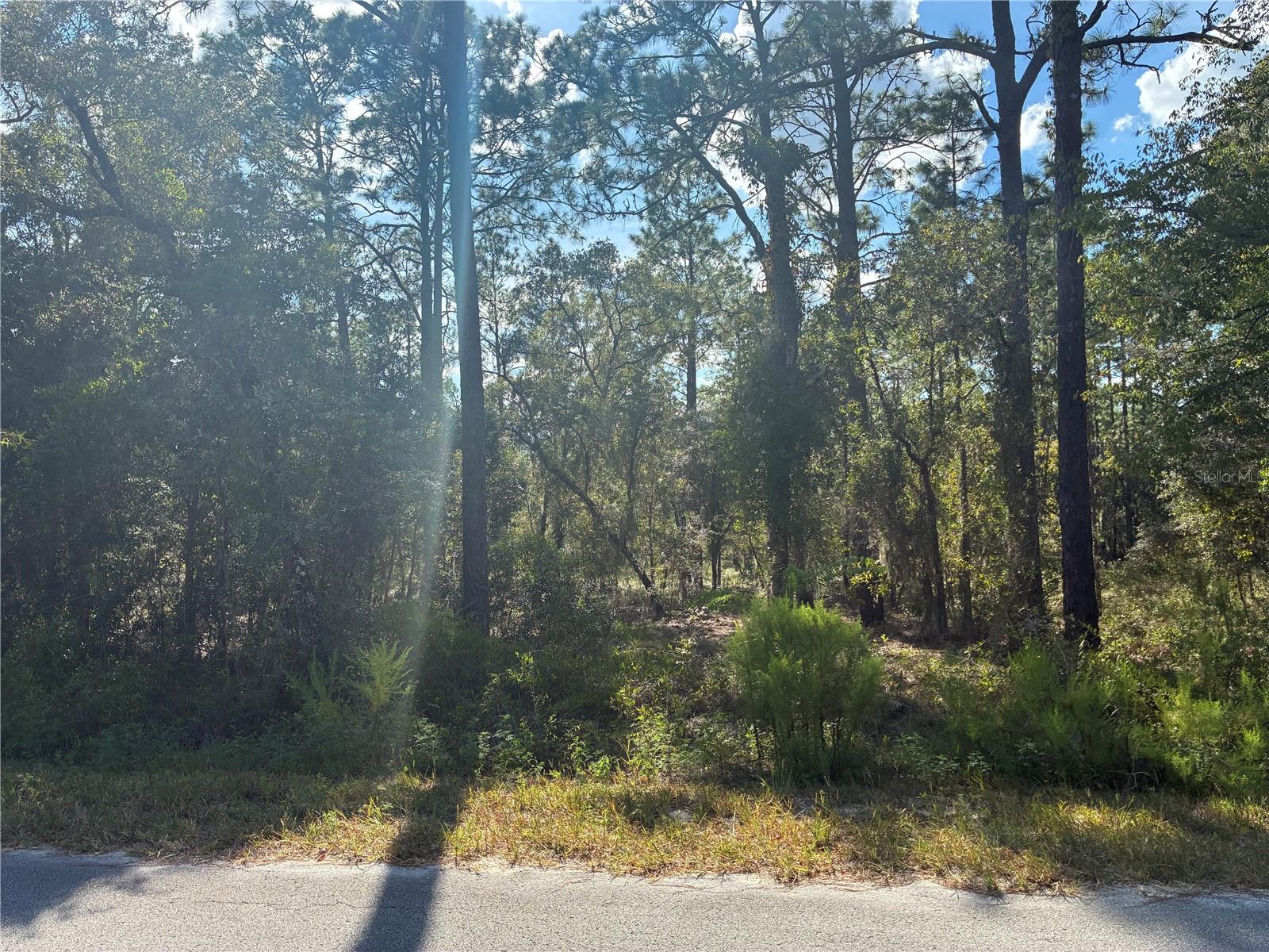 Fantastic opportunity to own a spacious .23-acre lot in the desirable Rainbow Lakes Estates community! This prime, buildable parcel offers the perfect canvas for your future dream home or investment property. Located in a serene, rural setting with easy access to main roads, this lot is ideal for those seeking tranquility and natural beauty. Enjoy the nearby Rainbow Springs State Park, local shops, and outdoor activities while still being within reach of all modern conveniences. Don't miss your chance to invest in this growing neighborhood—seize the opportunity today!