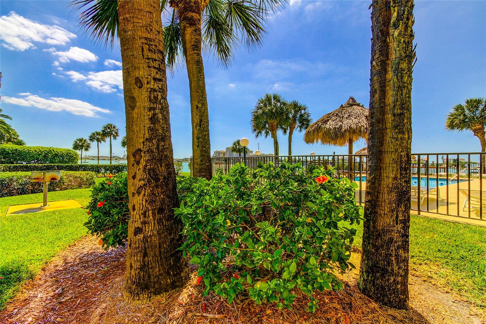 650 ISLAND WAY CONDO - Residential