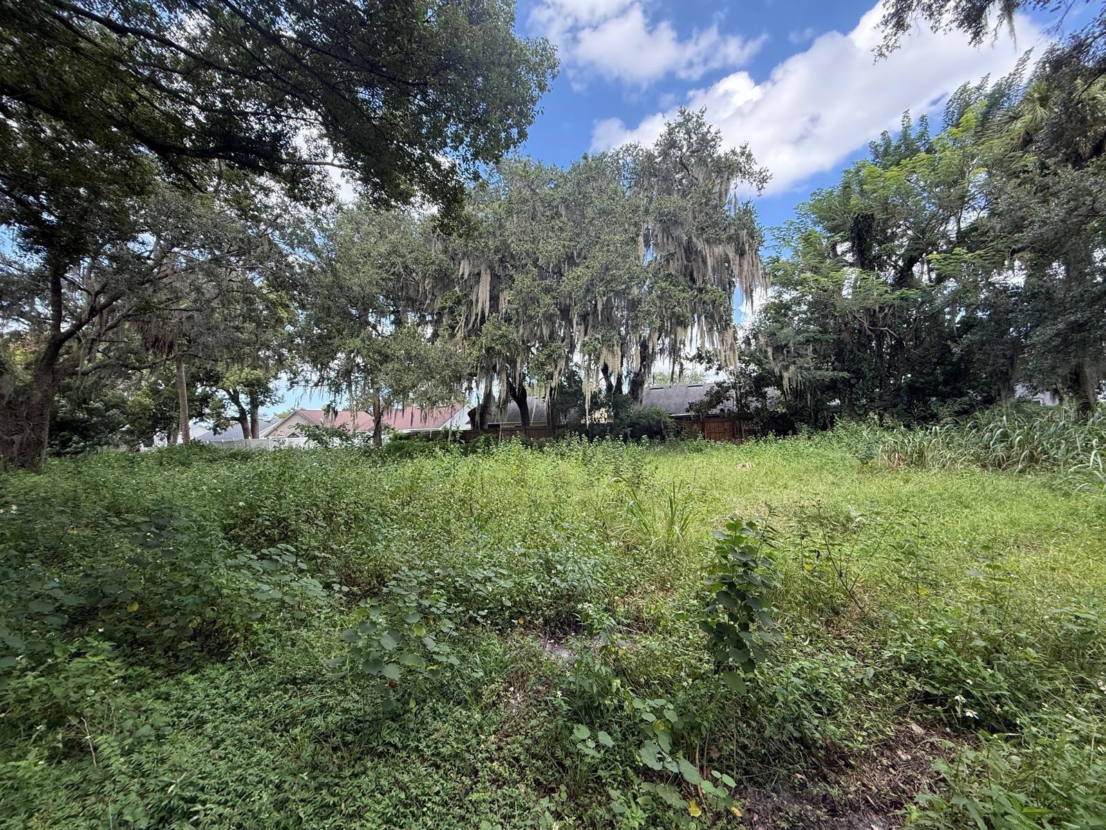 226 JONES AVENUE