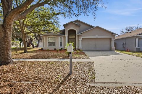 Search Sarasota & Manatee County Homes 25 11240 LAKE LANIER DRIVE RIVERVIEW FL 33569