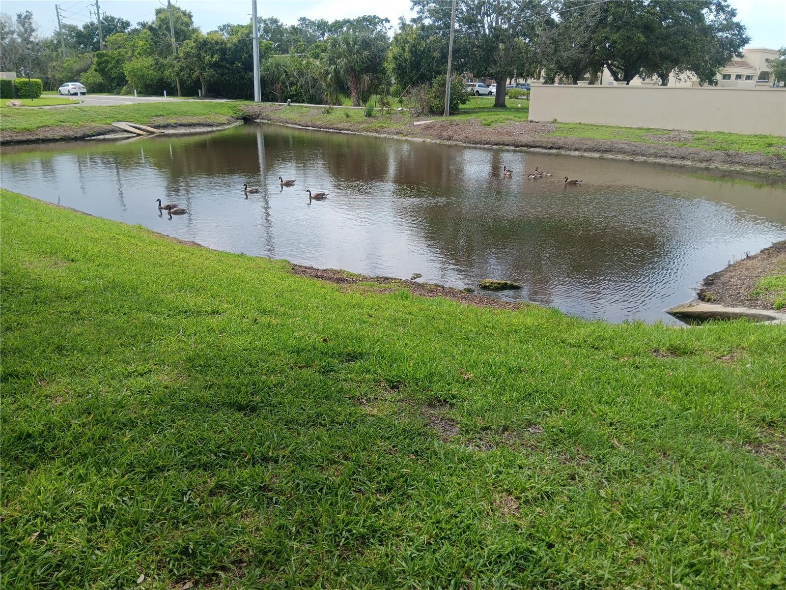 COURTYARD VILLAS - Residential