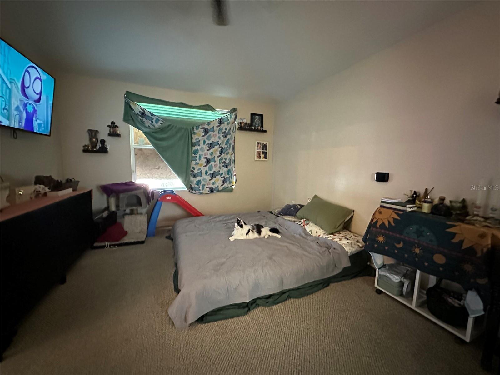 COVINGTON PARK PH 5C - Residential