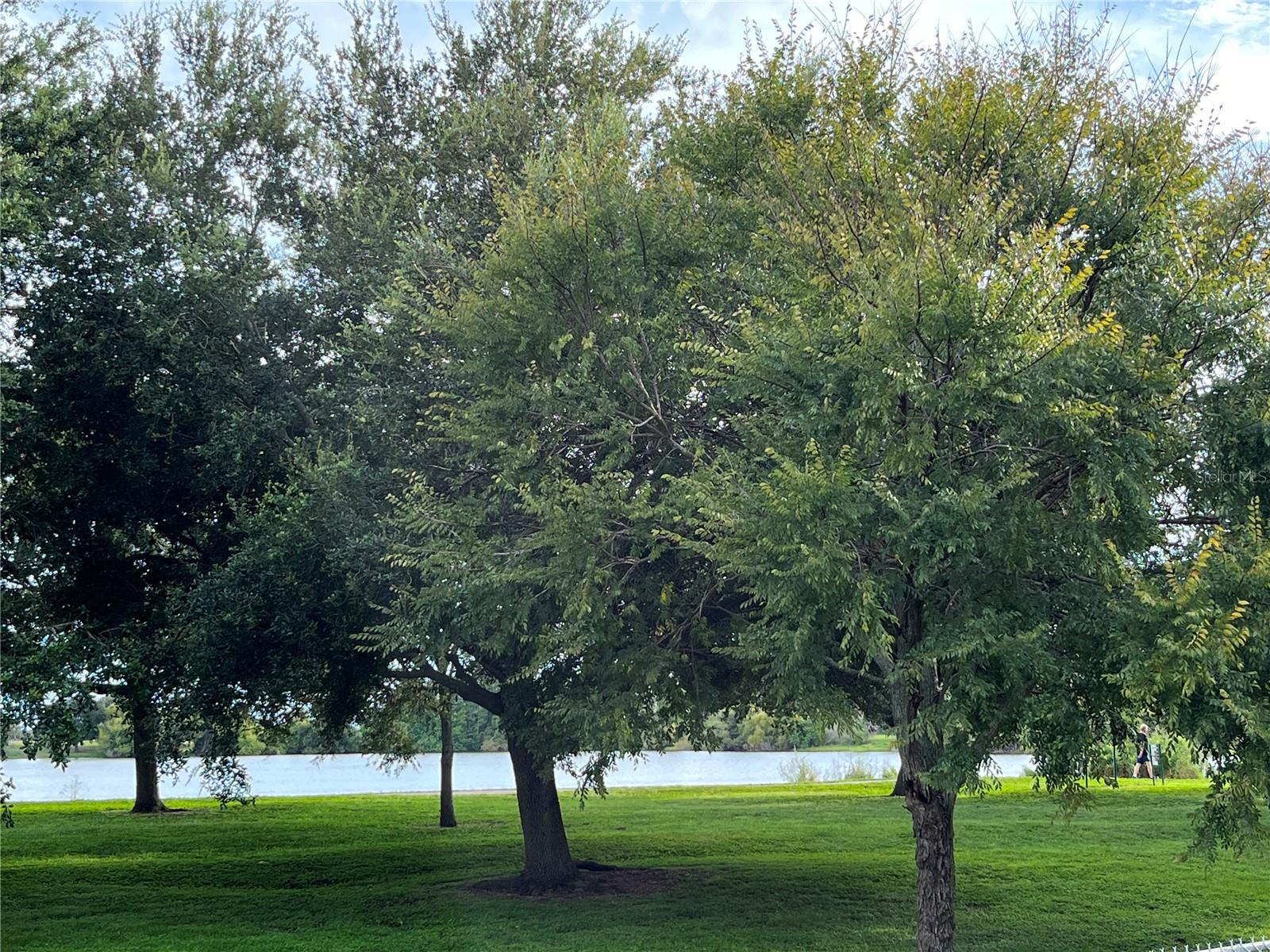 CRESCENT PARK - Residential Lease