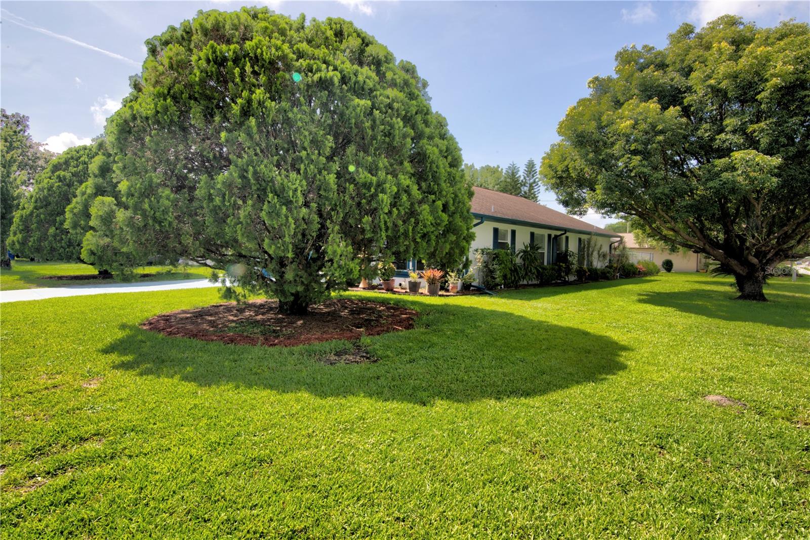 2334 W DORIS STREET