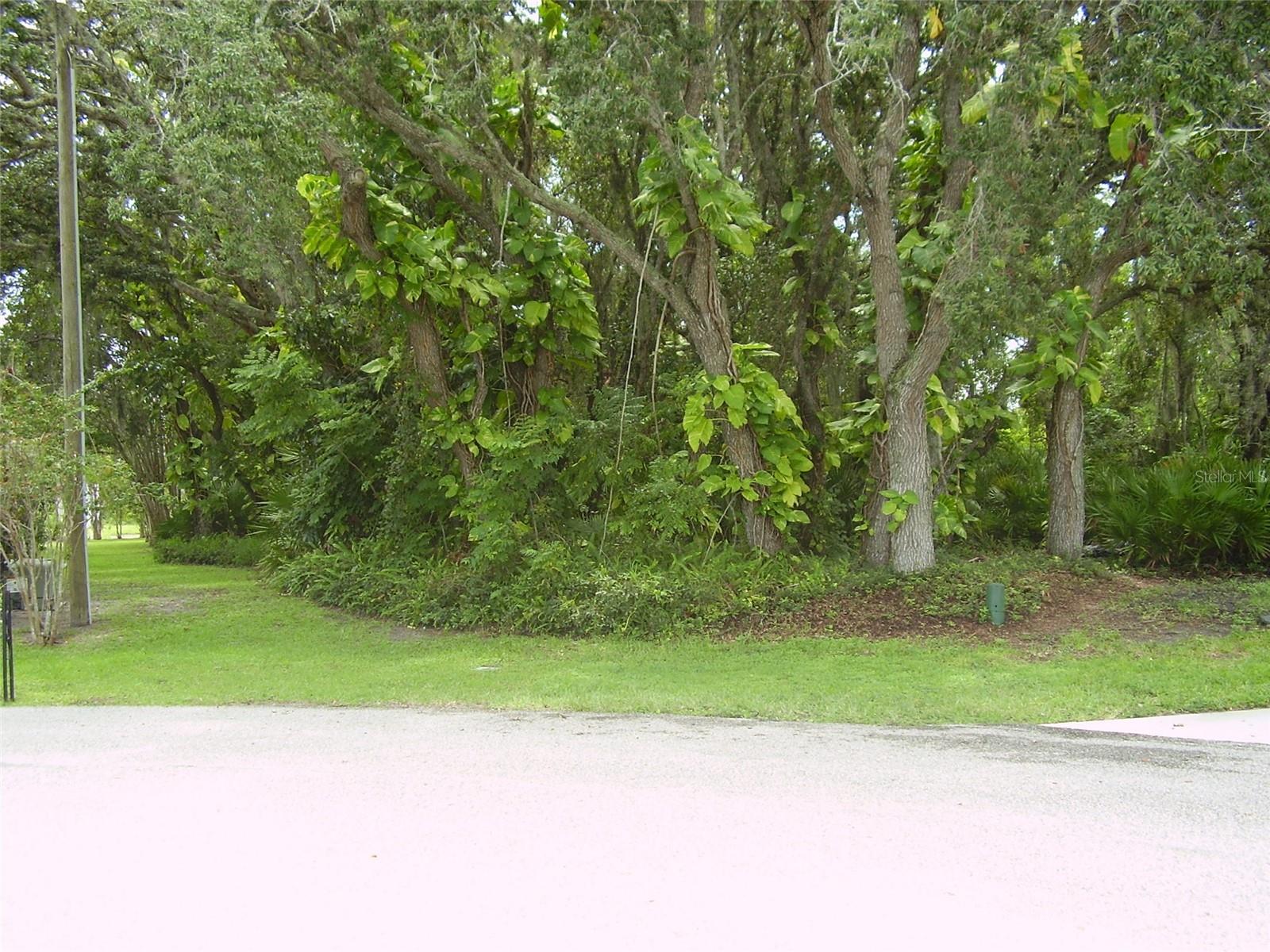 POINCIANA NBRHD 03 SOUTH VILLAGE 07 - Land