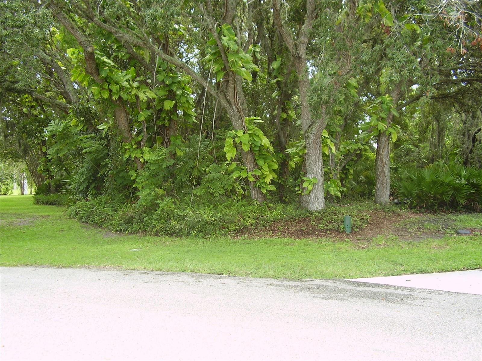 POINCIANA NBRHD 03 SOUTH VILLAGE 07 - Land