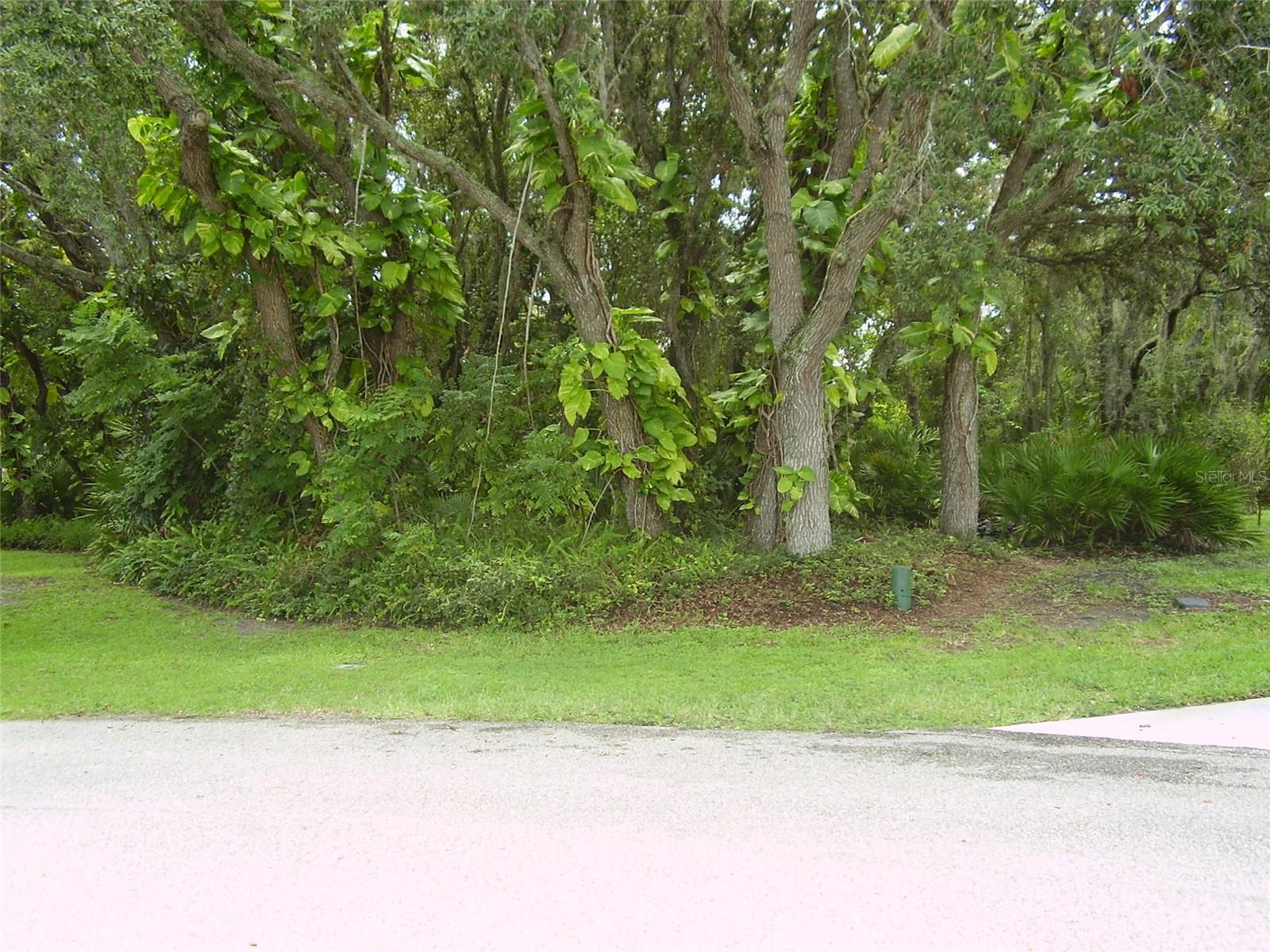 POINCIANA NBRHD 03 SOUTH VILLAGE 07 - Land