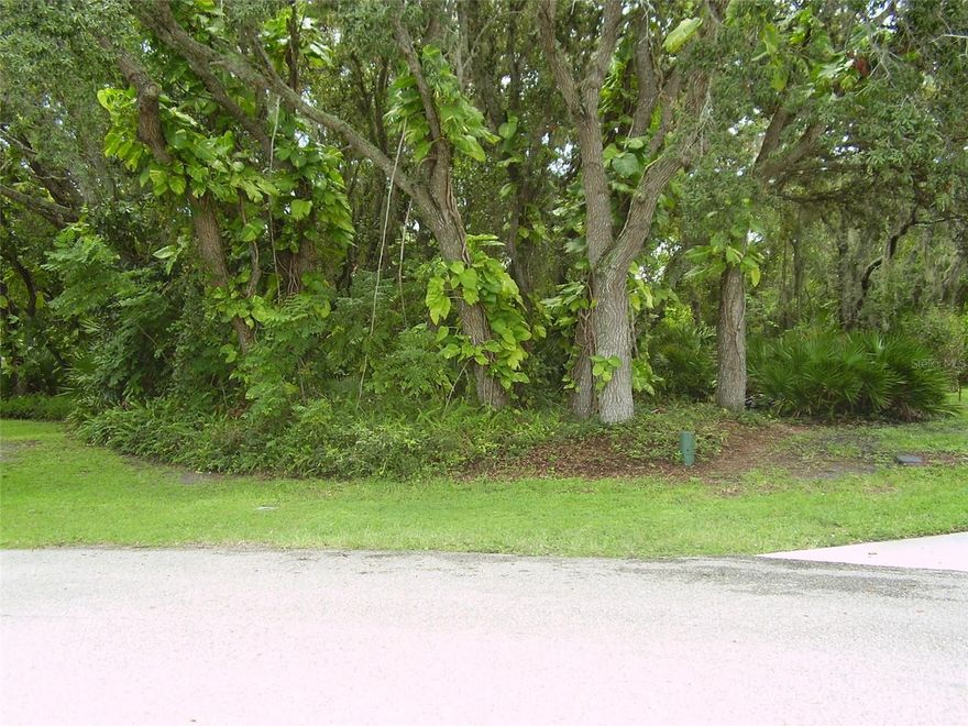 BUY THIS BEAUTIFUL 20,809 SQUARE FEET CUL-DE-SAC LOT WITH NO NEIGHBORS IN THE BACK FOR MORE PRIVACY AND BUILD THE HOME YOU ALWAYS WANTED WITH PLENTY OF ROOM FOR A PORCH, SWIMMING POOL, GARDENING, ETC, AND NO TRAFFIC GOING THROUGH, EXCEPT YOUR NEIGHBORS. THIS IS THE ONLY LOT LEFT UNBUILT ON THIS CUL-DE-SAC BLOCK. WATER & SEWER READY TO HOOK-UP. THIS LOT IS IN THE POLK COUNTY SIDE OF POINCIANA. POINCIANA IS LOCATED 45 MINUTES AWAY FROM ORLANDO INTERNATIONAL AIRPORT, NEXT TO DISNEY'S ATTRACTIONS. SEAWORLD, UNIVERSAL STUDIOS, LEGOLAND AND ALL THE OTHER ATTRACTIONS CENTRAL FLORIDA IS FAMOUS FOR ARE ONLY MINUTES AWAY. ENJOY TE ATLANTIC OCEAN BEACHES LIKE DAYTONA BEACH, COCOA BEACH, MELBOURNE BEACH, ETC. OR IF YOU PREFER THE GULF OF MEXICO BEACHES LIKE CLEARWATER BEACH, ST. PETES BEACH, ANAMARIA ISLAND BEACH, ETC. POINCIANA HAS ITS OWN SCHOOLS AND LIBRARY. VALENCIA COLLEGE HAS A POINCIANA CAMPUS. POINCIANA HAS PARKS, DOG PARKS, PLAYGROUNDS, GOLF, BASKETBALL COURTS, BASEBALL, SOCCER, FOOTBALL, TENNIS, RACKETBALL, SHUFFLEBOARD, FISHING, TWO SWIMMING POOLS, FITNESS TRAILS, SUPERMARKETS, SHOPPING CENTERS, WALMART SUPERCENTER, HOSPITALS, MEDICAL OFFICES AND ALL MEDICAL SUPPORT SERVICES. POINCIANA HAS IT ALL FOR EVERYONE WHERE YOU CAN BE AS ACTIVE AS YOU WOULD LIKE OR JUST RELAX. BUY THIS BEAUTIFUL OVERSIZED LOT AND BUILD YOUR DREAM HOME RIGHT NOW OR WHENEVER YOU DECIDE. JUST GIVE US A CALL AND WE WILL BE HAPPY TO SHOW IT AND PROVIDE YOU WITH ANY ADDITIONAL INFORMATION YOU MAY REQUIRE.