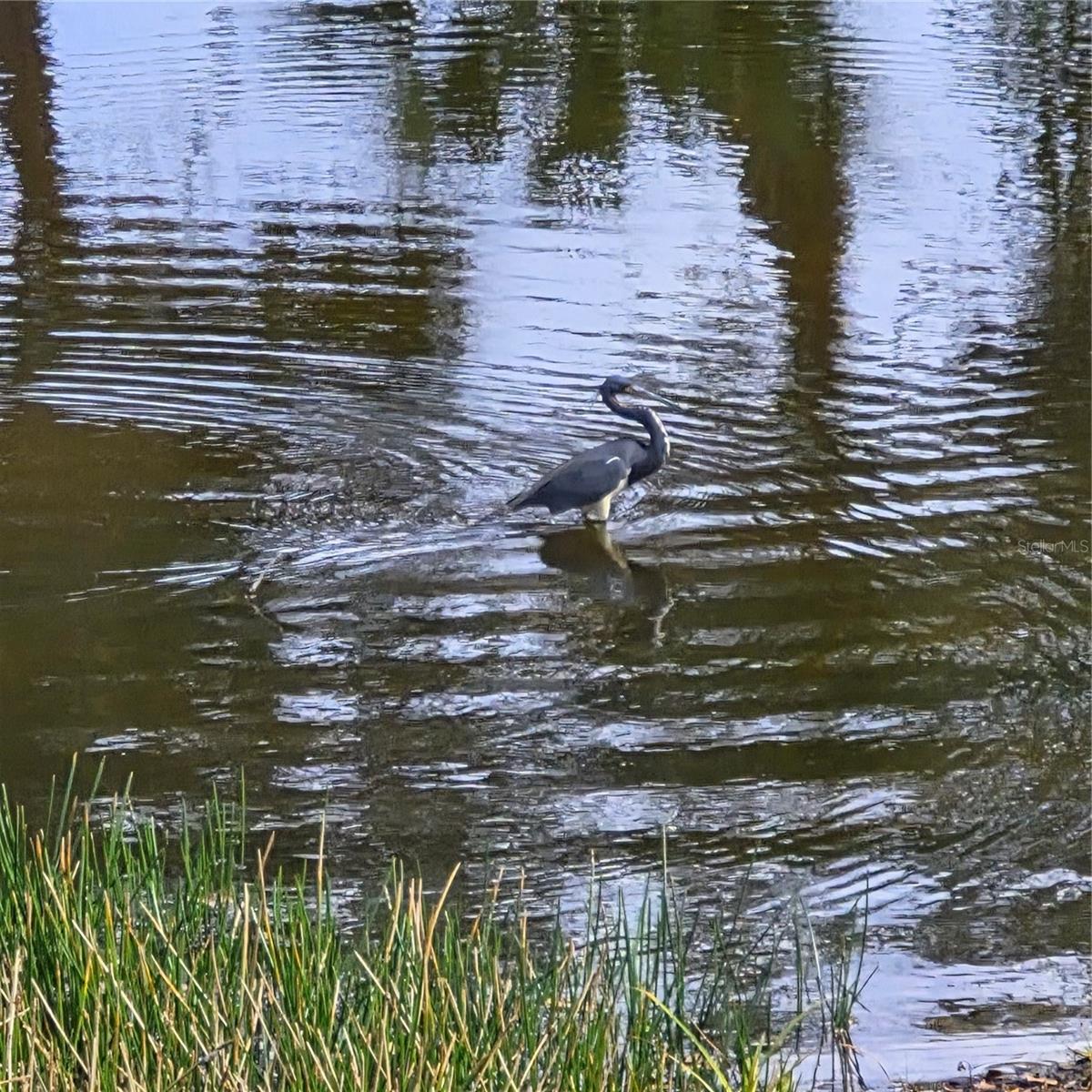 WILLOW GLEN GOLF COTTAGES PH 0 - Residential