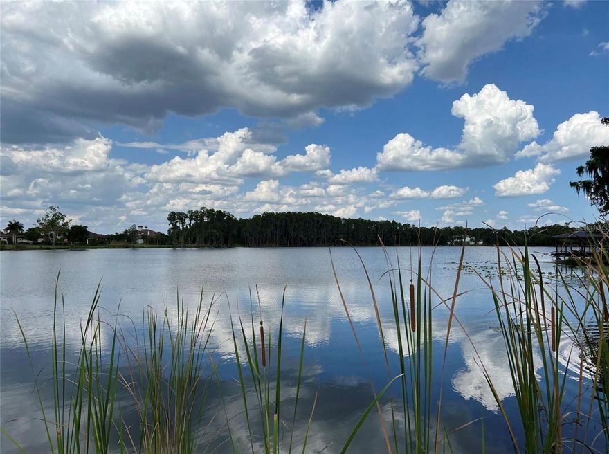 Beautiful lakeside property situated on Velburton Lake within the prestigious gated enclave of Steeplechase. This is the LAST BUILDABLE WATERFRONT LOT AVAILABLE. Spanning over 3 acres, this parcel offers breathtaking vistas of the lake. Indulge in recreational activities like kayaking, canoeing, and fishing right from your doorstep. Set in a tranquil rural setting, this community boasts meticulous landscaping and underground utilities. There are no constraints on when to commence construction, allowing you to craft your dream home at your own pace. Excellent school district! 24 Hour gated security. Select your preferred builder!  Conveniently located minutes to grocery stores, dining establishments, and retail outlets, and just 25-minutes to Tampa International Airpot and famous Florida Beaches.