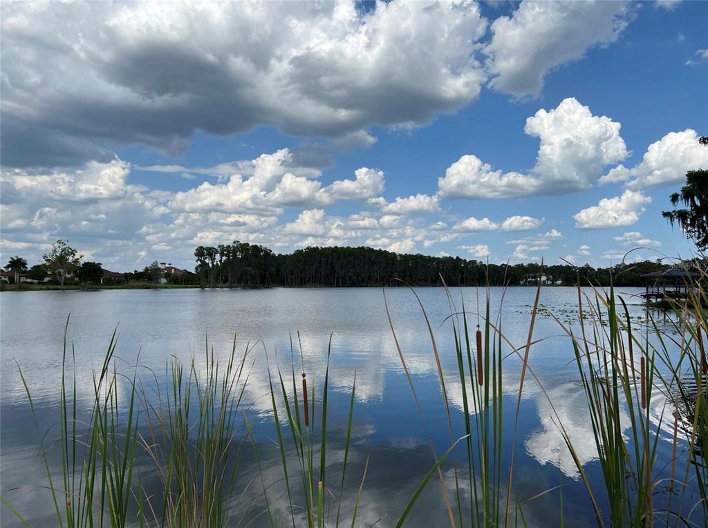 Photo of 17117 Breeders Cup Drive, Odessa, FL 33556 (MLS # TB8412003)