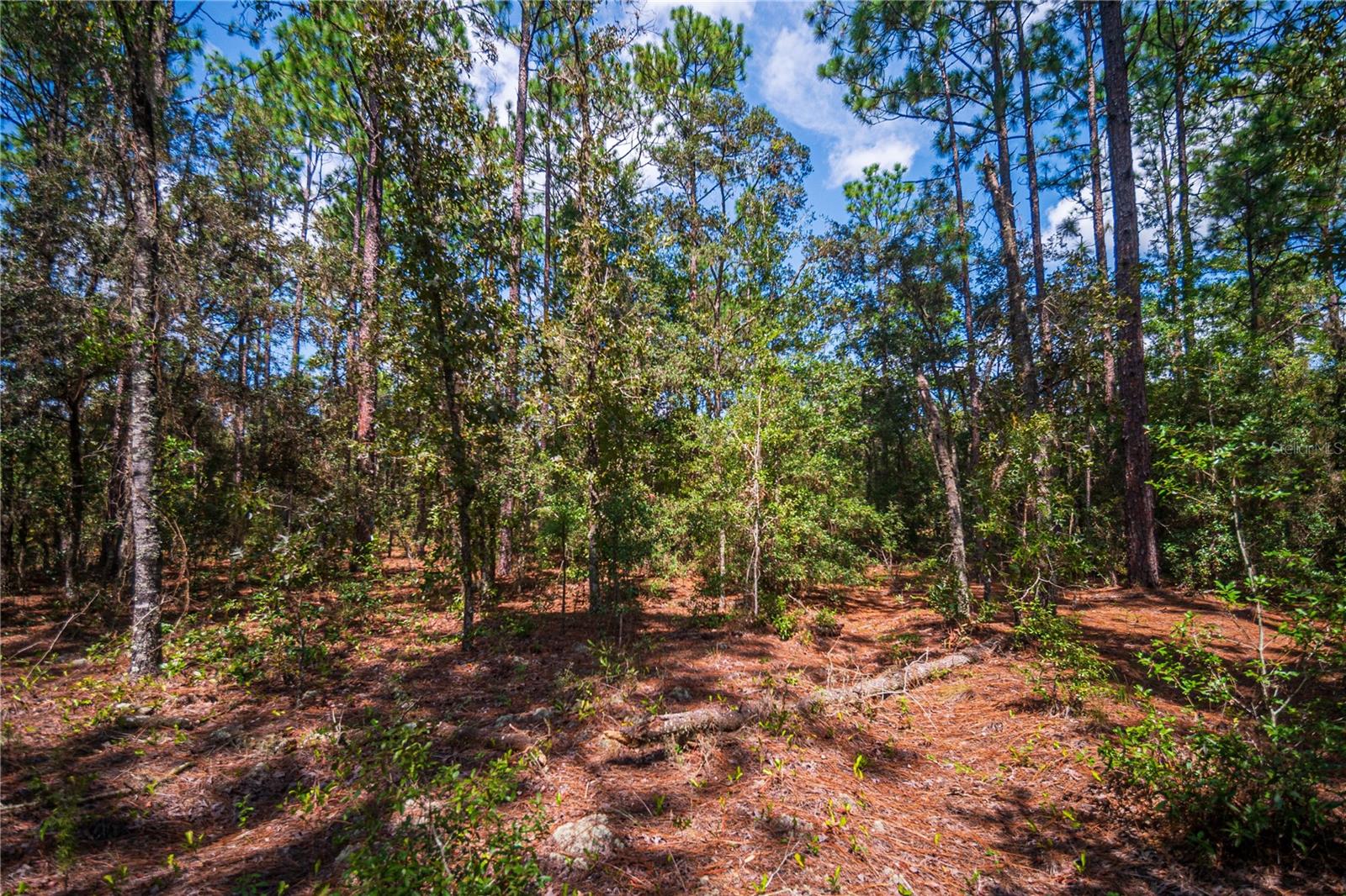 WESTWOOD ACRES NORTH SUB - Land