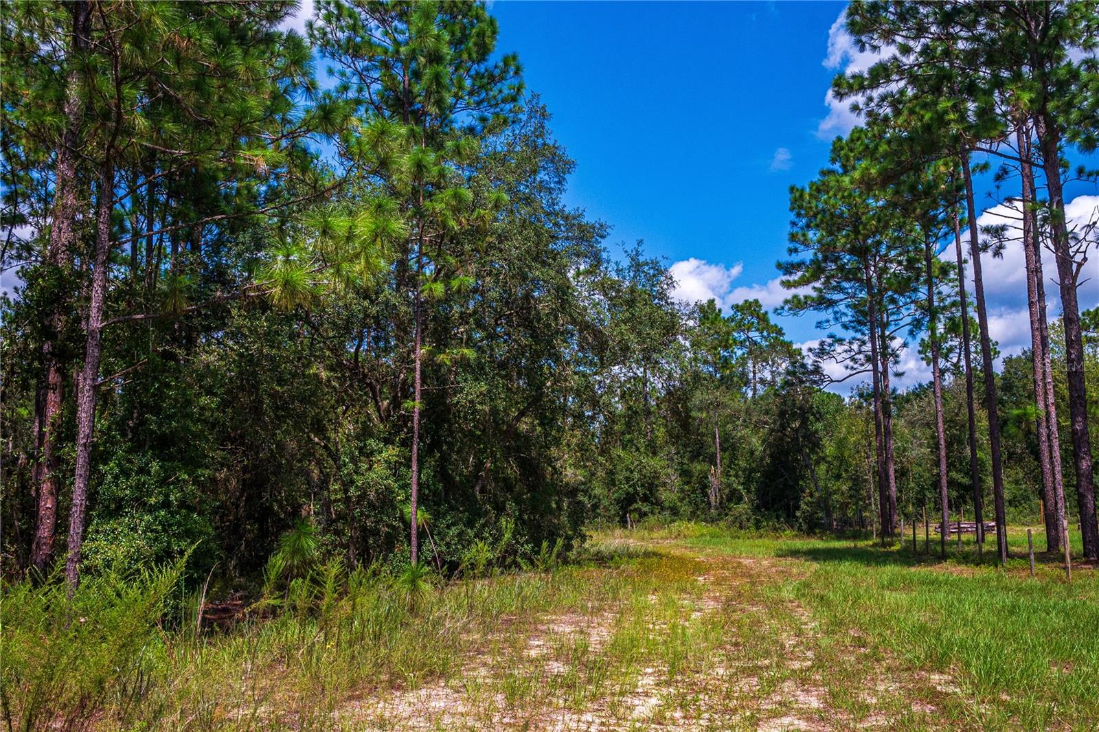 WESTWOOD ACRES NORTH SUB - Land