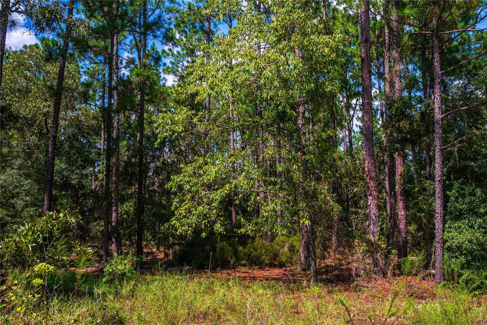 WESTWOOD ACRES NORTH SUB - Land