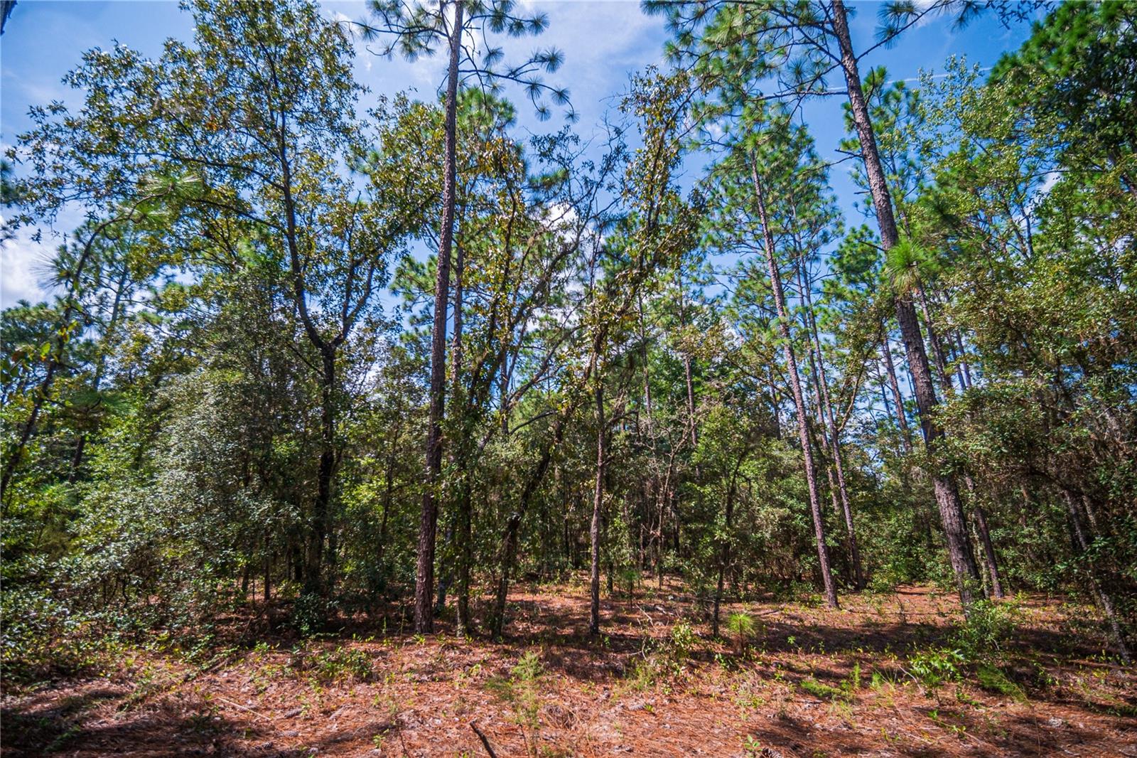 WESTWOOD ACRES NORTH SUB - Land