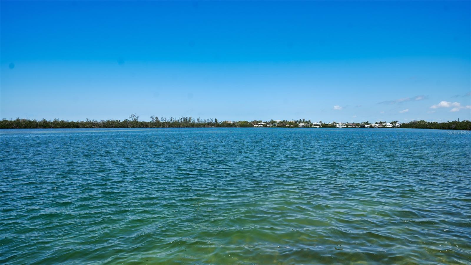 JOHN RINGLING ESTATES ST ARMANDS DIV 01 - Residential